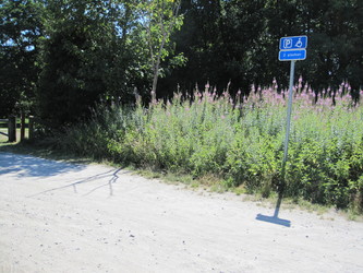 Bigum Søbad - a recreational area at Lake Tjele