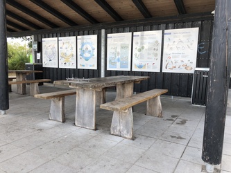 Sønder Ege - Strand og picnicområde