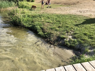 Sønder Ege - Strand og picnicområde
