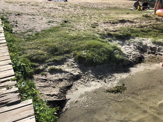 Sønder Ege - Strand og picnicområde