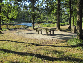 Undallslund skov - Picnicområde ved Bredemose