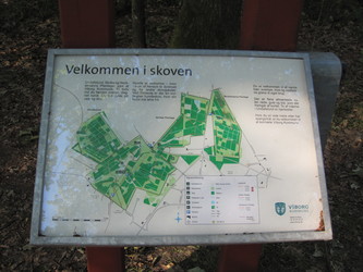 Undallslund skov - Picnicområde ved Bredemose