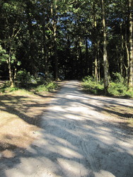 Undallslund skov - Picnicområde ved Bredemose