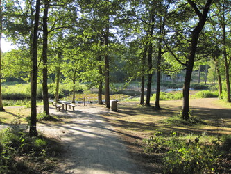 Undallslund skov - Picnicområde ved Bredemose