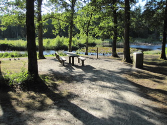Undallslund skov - Picnicområde ved Bredemose