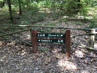 Himmelbjerget