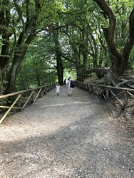 Himmelbjerget