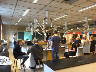 Bramsnæsvigskolen