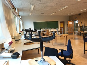 Bramsnæsvigskolen