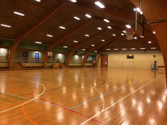 Trælleruphallen
