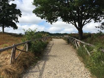 Himmelbjerget ved Julsø