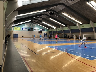 Viborg Stadionhaller