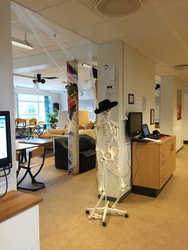Hvalsø Skole - 4. Alléhuset - Indgangen fra Skolevej