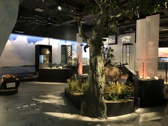Museum Østjylland - Randers