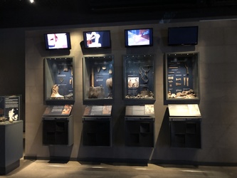 Museum Østjylland - Randers