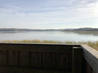 The trail around Søndersø - start from Ballerupvej