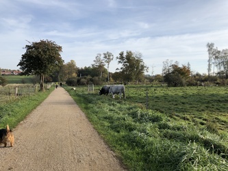 The trail around Søndersø - start from Ballerupvej
