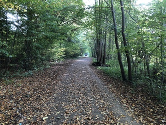 The trail around Søndersø - start from Ballerupvej