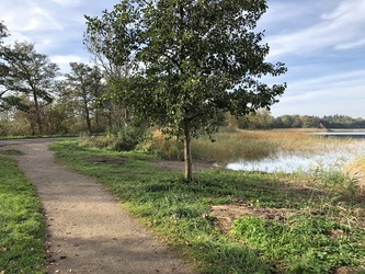 The trail around Søndersø - start from Ballerupvej