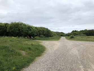 Hanstholm Fyr - Stisystem