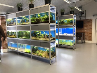 Solvangskolen - Hovedbygningen