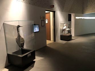 Naturama - Toilet på 1. sal