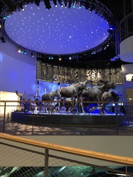 Naturama -  Udstillingen