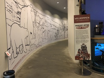 Naturama -  Udstillingen