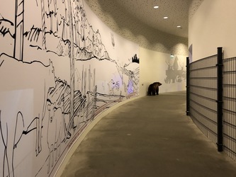 Naturama -  Udstillingen