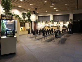 Naturama -  Udstillingen
