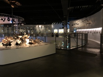 Naturama -  Udstillingen