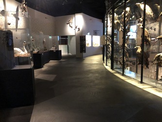 Naturama -  Udstillingen