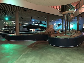 Naturama -  Udstillingen