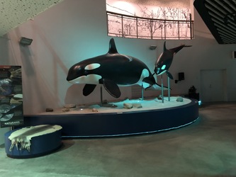 Naturama -  Udstillingen
