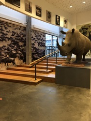 Naturama - Cafe