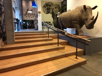 Naturama - Cafe
