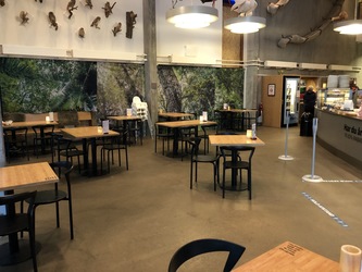 Naturama - Cafe