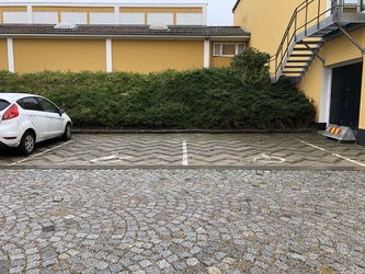 Willumsens Museum -  Udstillingen