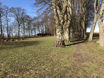 Glavendruplund - Gåtur, bålhytte og picnicpladser