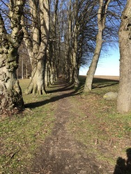 Glavendruplund - Gåtur, bålhytte og picnicpladser