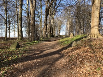 Glavendruplund - Gåtur, bålhytte og picnicpladser