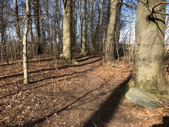 Glavendruplund - Gåtur, bålhytte og picnicpladser