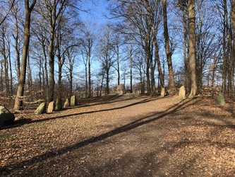 Glavendruplund - Gåtur, bålhytte og picnicpladser