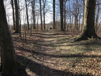 Glavendruplund - Gåtur, bålhytte og picnicpladser