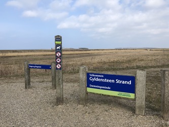 Fugletårn ved Gyldensteen Strand - Dæmningsminde