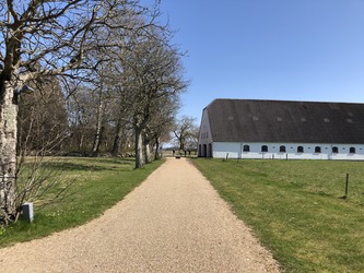 Fuglsang Kunstmuseum - Café