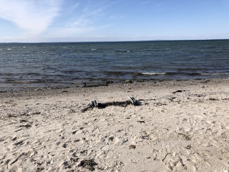 Skåstrup Strand