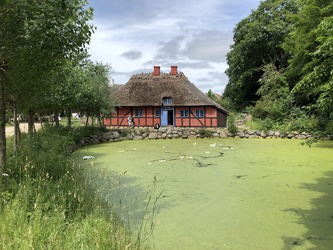 Frilandsmuseet -  Hovedindgangen og indretningen af området