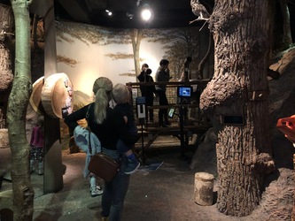 Økolariet - Exhibition niveau -1