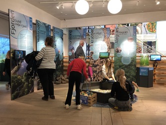 Økolariet - Exhibition niveau -1
